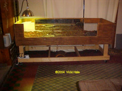 The Redfoot Tortoise - Tortoise Table